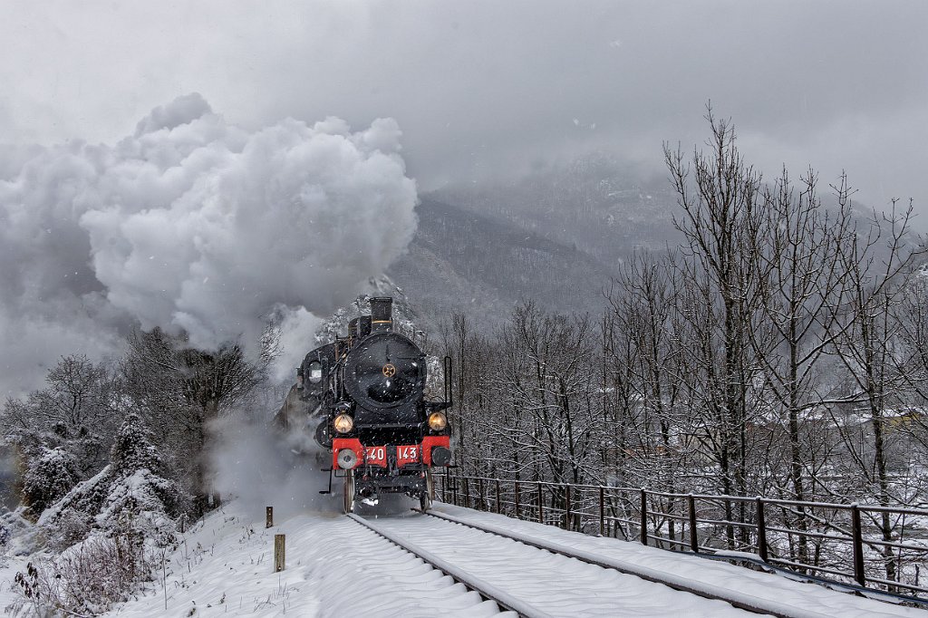 SEGNALATA Sambuco_Massimo_IL TRENO PER ORMEA.jpg